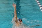 Swimming vs Bentley  Wheaton College Swimming & Diving vs Bentley College. - Photo by Keith Nordstrom : Wheaton, Swimming & Diving